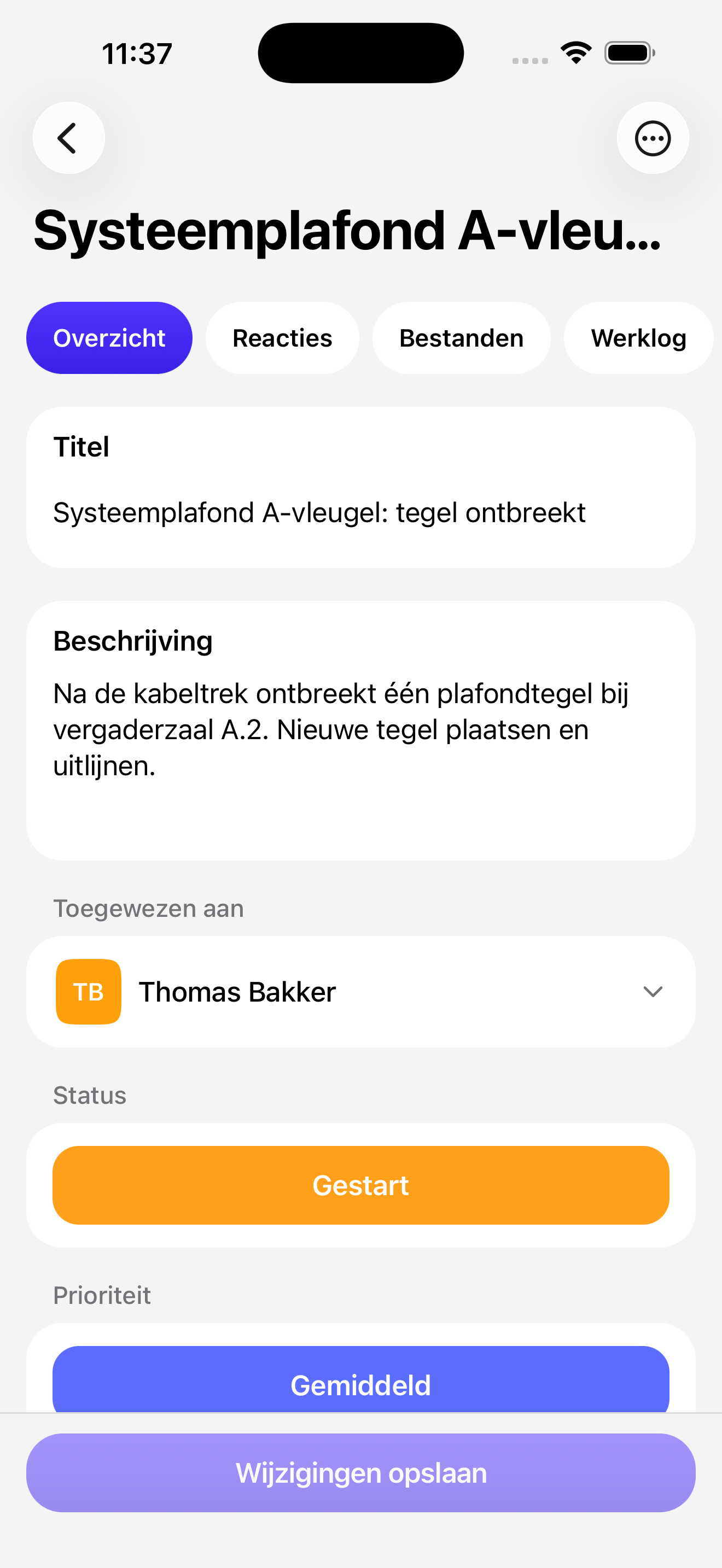 Detail van een snag